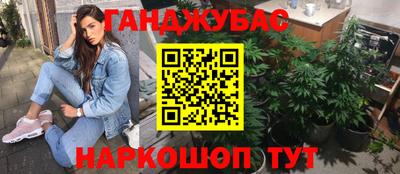 крисы Славянск-на-Кубани