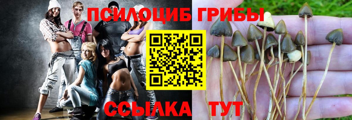 Галлюциногенные грибы Magic Shrooms  Галлюциногенные грибы Psilocybe  Татарск  Вход с VPN 